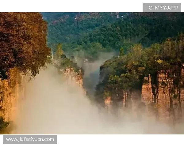 九鼎体育会员制度详解:会员权益、积分兑换及专属优惠介绍 九鼎体育会员制度详解:会员权益、积分兑换及专属优惠介绍